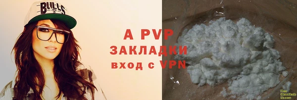 дмт Белокуриха