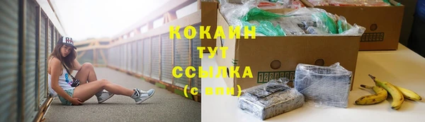 ГАЛЛЮЦИНОГЕННЫЕ ГРИБЫ Белоозёрский