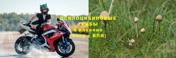 амф Беломорск